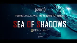 Trailer "SEA OF SHADOWS" - Selección Oficial Patagonia Eco Film Fest 2019