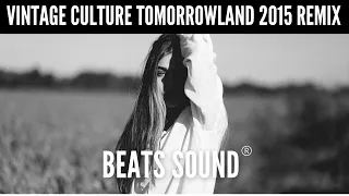 Vintage Culture Tomorrowland 2015 Remix