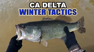 Winter Bass Fishing | CA Delta Bass Fishing