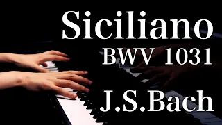 Siciliano BWV 1031 J.S.Bach Piano Transcr. by Kempff /シチリアーノ バッハ  ケンプ編曲 / 시칠리아노 바하 캠프편곡 피아노 연주