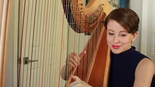 Butterfly Waltz by Brian Crain (harp cover)