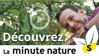 Ep. 25: BANDE ANNONCE MINUTE NATURE