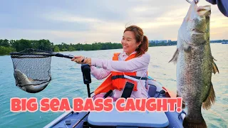 Big Barramundi Caught! Inflatable Kayak Fishing Singapore @ Pulau Ubin & Pasir Ris!