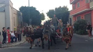 sfilata cavalli, festa Madonna della mercede 1/2