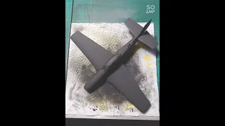 P-51D Mustang IV  1/48 靜態模型