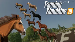Farming Simulator 19 horses farm. Guide FS 19.