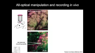 Multiphoton Microscopy | 'All Optical' Interrogation of Neural Circuits | Bruker
