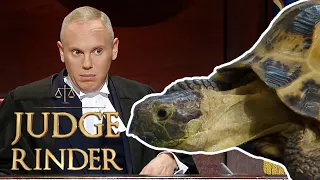 "You Put Your Tortoise in the Washing Machine?!" Judge is Shocked By Destructive Pet | Judge Rinder