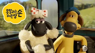 도그쇼 - 시리즈 4 - 숀 더쉽 [Shaun the Sheep] [포함 시즌 6 의 클립]