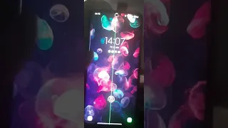 samsung s20+ green line problem fix