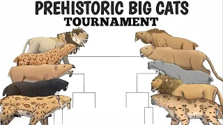 PREHISTORIC BIG CATS TOURNAMENT - ANIMATION