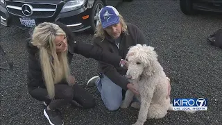 VIDEO: Dog recovered after police shooting