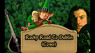 Rocky Road To Dublin (cover)