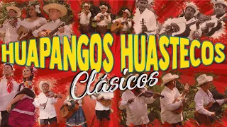 CLÁSICOS HUAPANGOS HUASTECOS