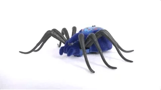 Wild Pets Spider from Moose Toys