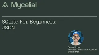 SQLite for beginners: JSON