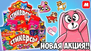 СТИКЕРСЫ новая акция в МАГНИТ! Лучше СКРЕПЫШЕЙ? Распаковка коробки 300 шт от Зайки Лу!