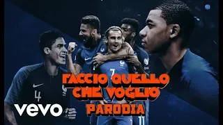 FRANCIA CAMPIONE DEL MONDO - PARODIA - ROVAZZI FACCIO QUELLO CHE VOGLIO