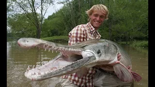 Fish Warrior - Dinosaur Fish | Giant Fish Species  / (Nat Geo)