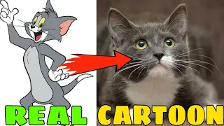 Tom And Jerry Characters In Real Life || Mr Unique ||hu ye