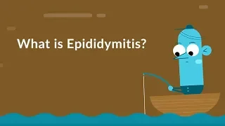 What is Epididymitis? (Sperm Tube Inflammation)