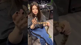 She's eating a snake? #shorts #alvuwki