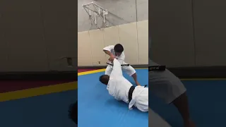 Shorinji Kempo