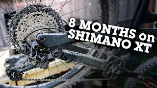 Long-Term Test: 8 Months on Shimano XT M8100