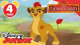 The Lion Guard | Learning Animals 🦁 | Disney Kids