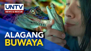 Tips: Wastong Pag-aalaga ng Buwaya | Pet Talk