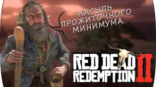 RDR 2. ПОКОРЯЕМ ДИКИЙ ЗАПАД. Новые земли. Стрим рдр2.