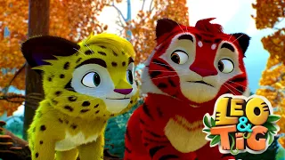 LEO and TIG 🦁 Autumn in Taiga 🍁🍂 Episodes collection 💚 Moolt Kids Toons Happy Bear