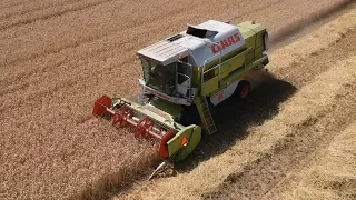 Harvesting with Claas Dominator