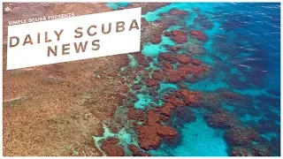 Daily Scuba News - Australia To Fund Protection Of The Great Barrier Reef