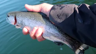Fishing SASAMAT LAKE: Catching TONS of Rainbow Trout on flies and lures!