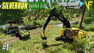 Setting Up In  A NEW Place | Silverrun Forest | Farming Simulator 22