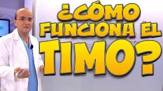 TIMO, ¿cómo funciona? - Cuerpo Humano #5