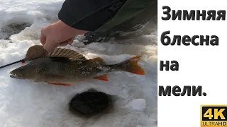 Fishing for bass stranded on a winter spinner. Maropedka at a shallow depth.