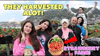 Our First Time PICKING STRAWBERRY in The PHILIPPINES!🍓🇵🇭