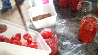 Canning peppadews. Filling the bottles