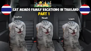 Cat Memes Family Vacations in Thailand Part 1