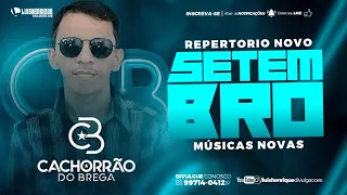 CACHORRÃO DO BREGA - CD SETEMBRO 2019 - REPERTORIO NOVO - MÚSICAS NOVAS