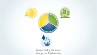 What is the Water Energy Food Nexus?