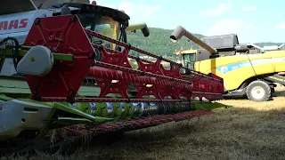 Harvest 2022 🌾| Claas Lexion 770TT & New Holland 880 | AG-rykom a služby Lunda 🇨🇿