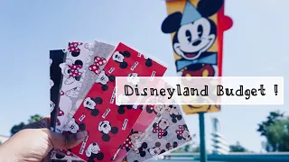 Disneyland Budget | Bring a friend for $99 | Cash Stuffing