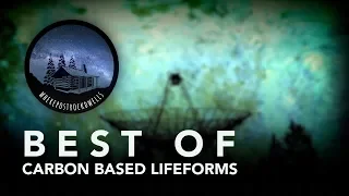 Best of Carbon Based Lifeforms