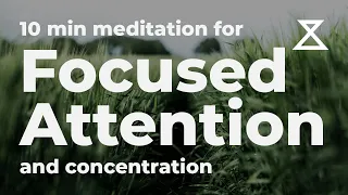 10 Minute Guided Meditation for Focused Attention and Concentration (No Music, Voice Only)
