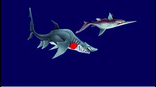 Great Hammerhead Shark Vs Goblin Shark (READ DESCRIPTION)