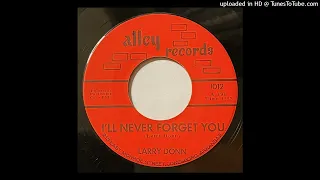 Larry Donn - I'll Never Forget You  - Alley Records 1012