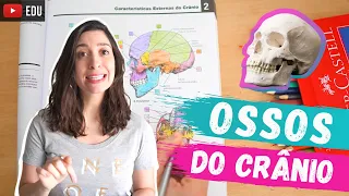 Ossos do crânio: Anatomia para Colorir!